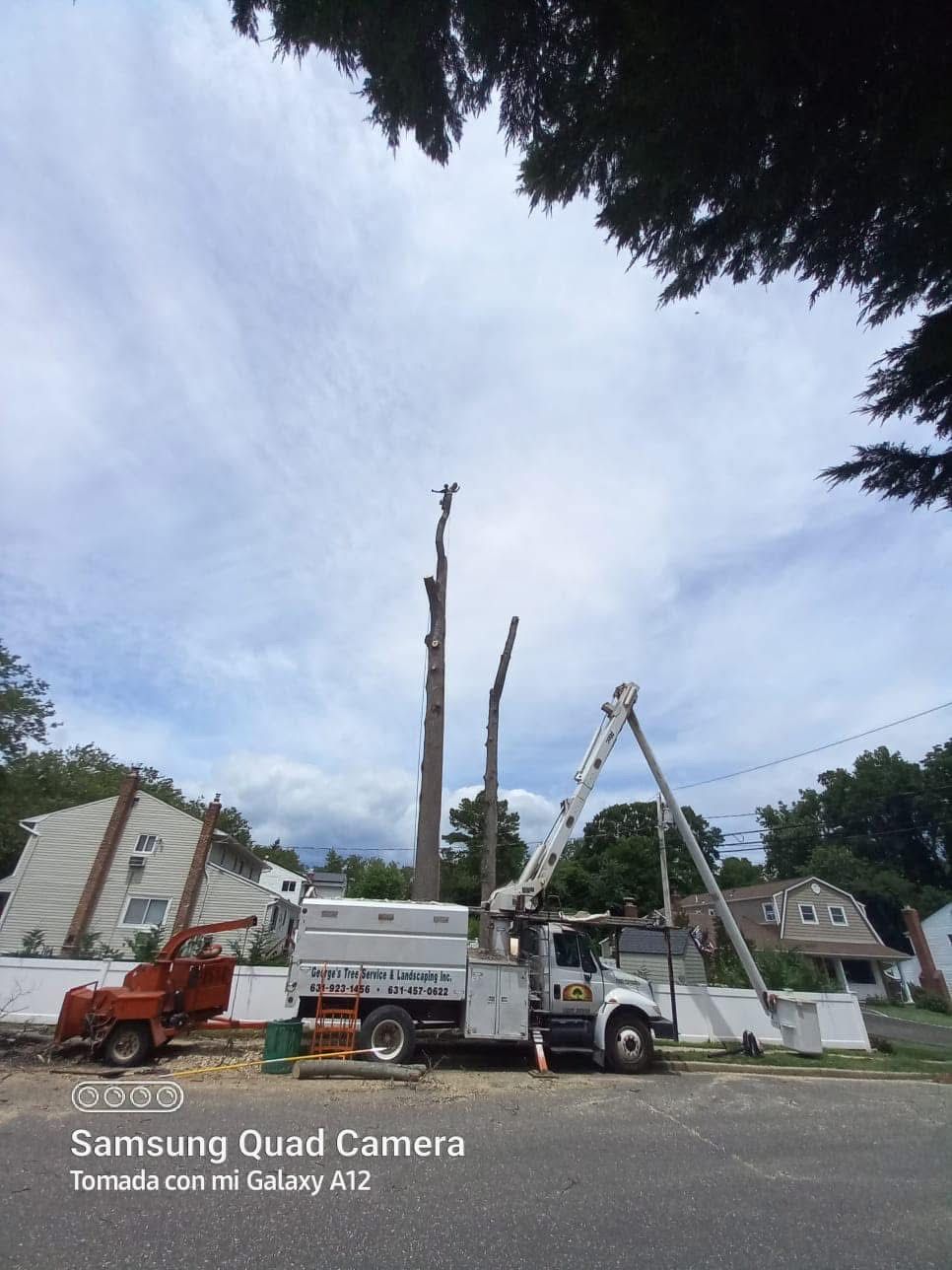 A tree cutting truck is parked in front of a house.