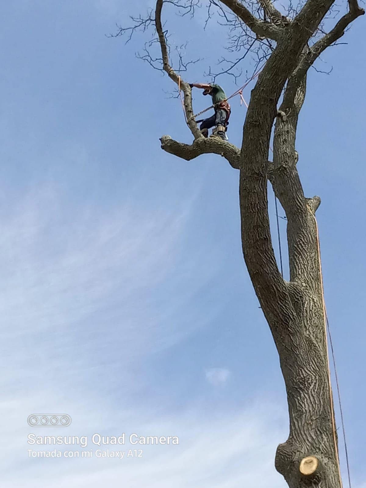 A man is cutting a tree branch with a chainsaw.