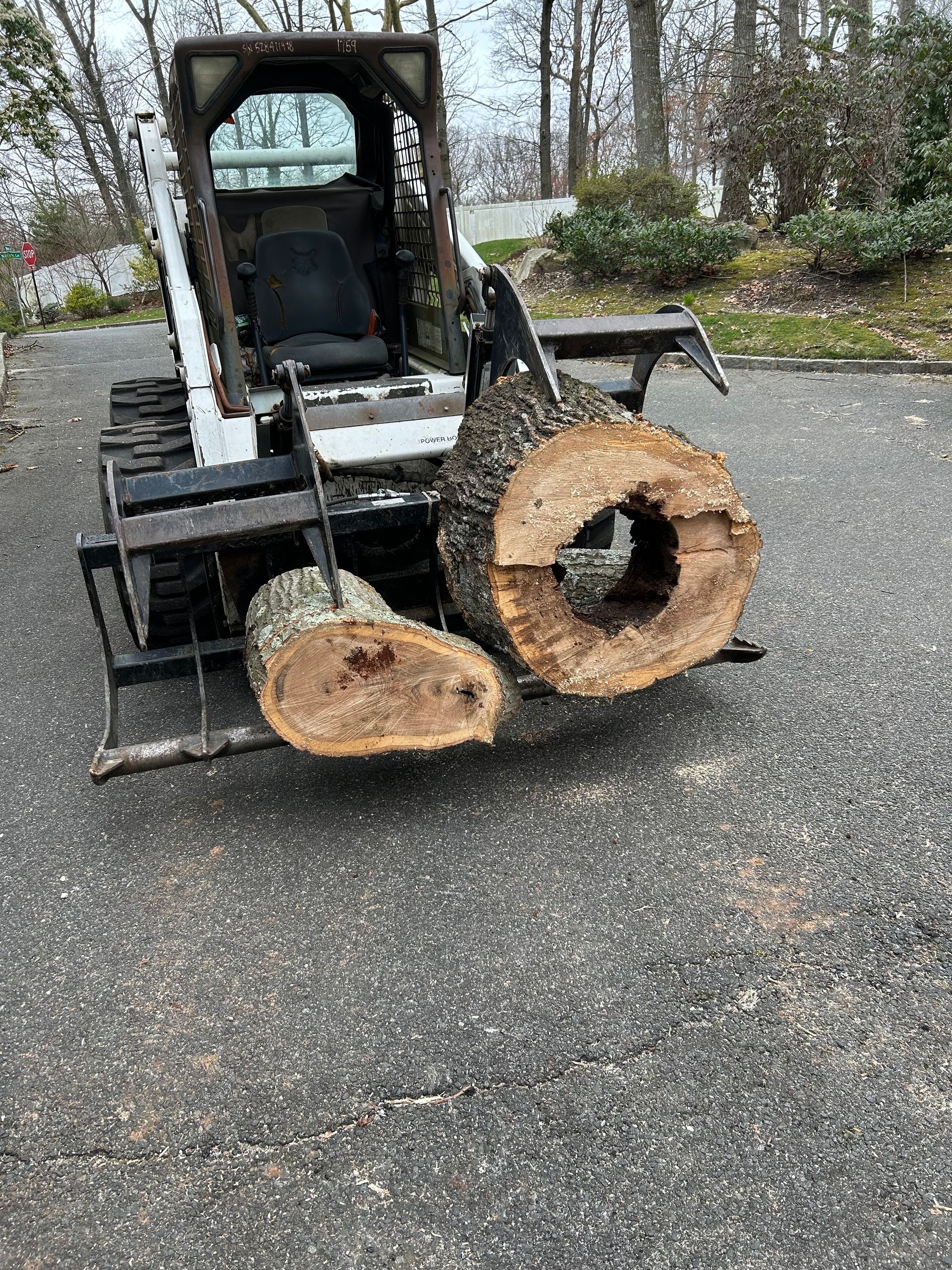 A bobcat is carrying a large log on the back of it.