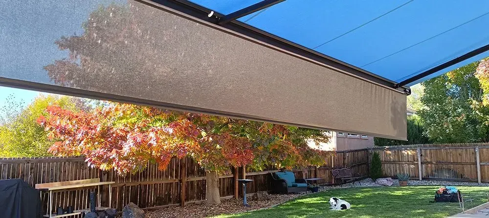 Backyard with autumn tree, fence, retractable shade, and a dog on the grass.