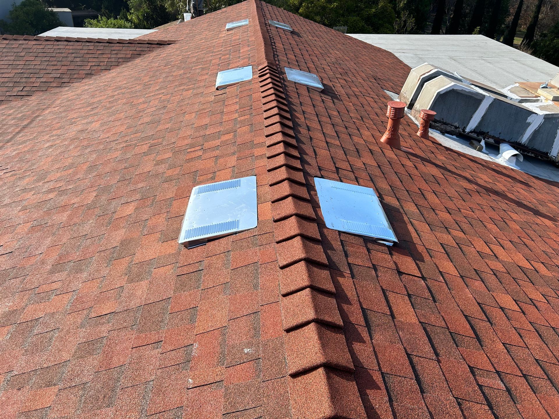 Red shingle roof with skylights and a roof ridge, daylight setting.
