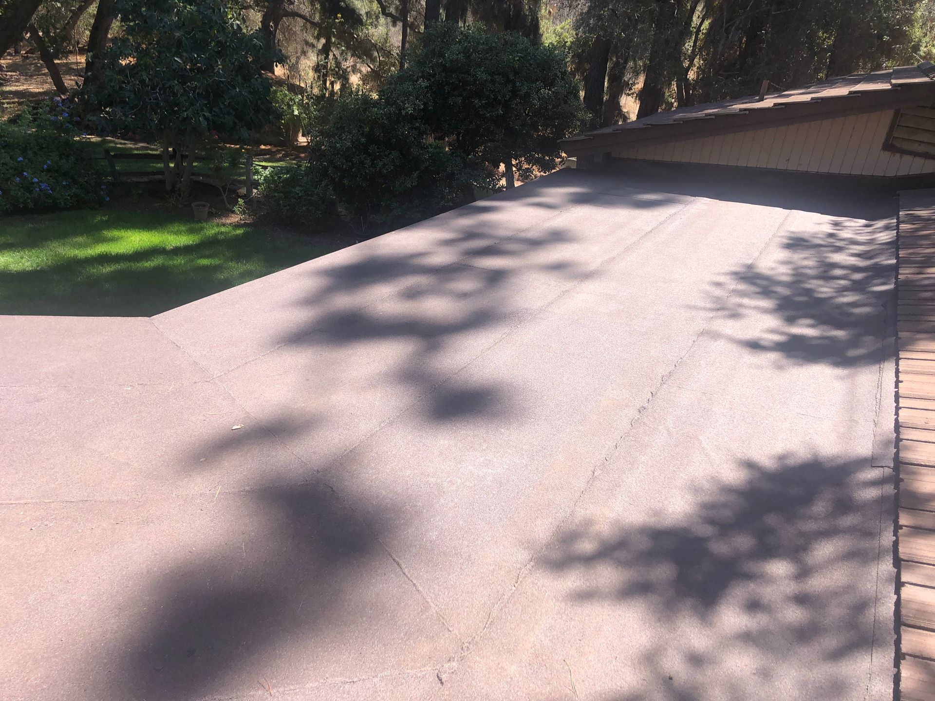 Asphalt driveway with tree shadows. House and greenery in the background.