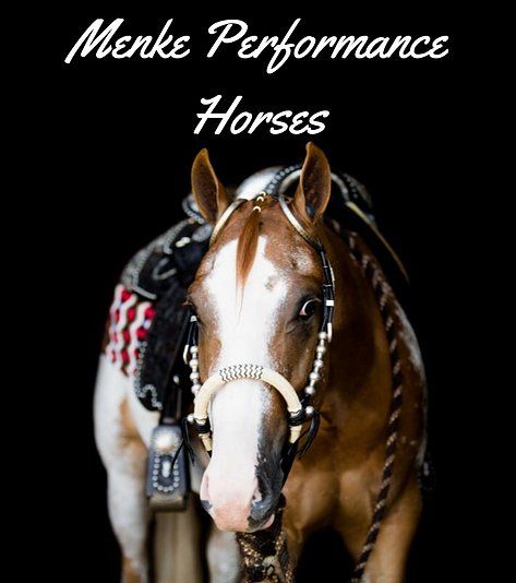 Menke Performances Horses