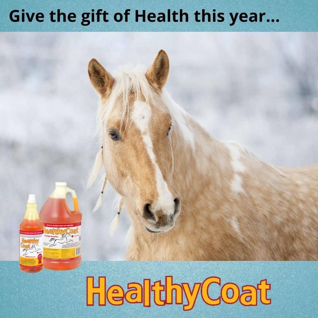 HealthyCoat Liquid Feed Supplement for Your Horses - in Danbury, CT | New  Milford, CT - Agriventures Agway Pickup & Delivery