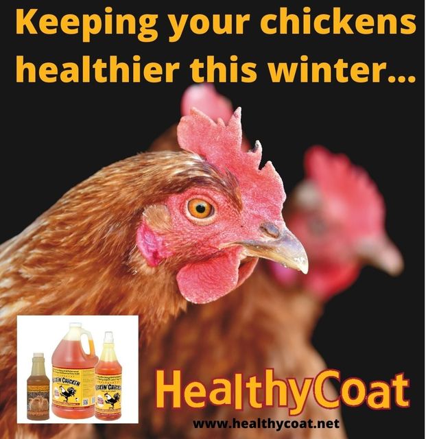 Kickin' Chicken Chicken Feed Supplement Urbandale, IA