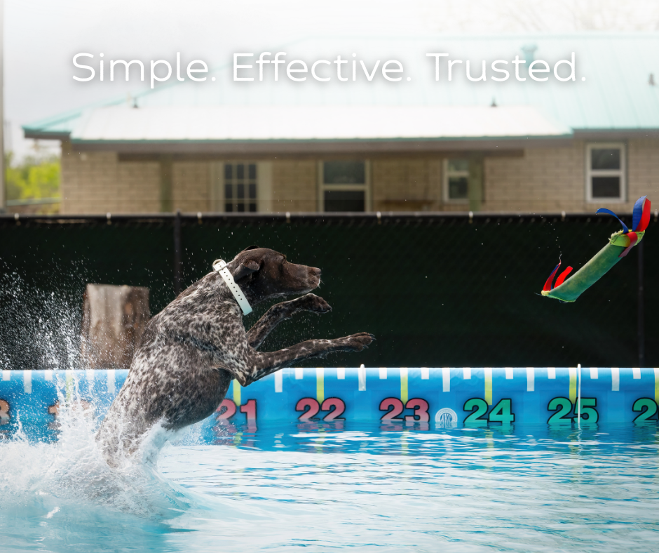Dog jumping into a pool towards a toy, splashes water, blue pool with numbers, white text: Simple Effective Trusted.