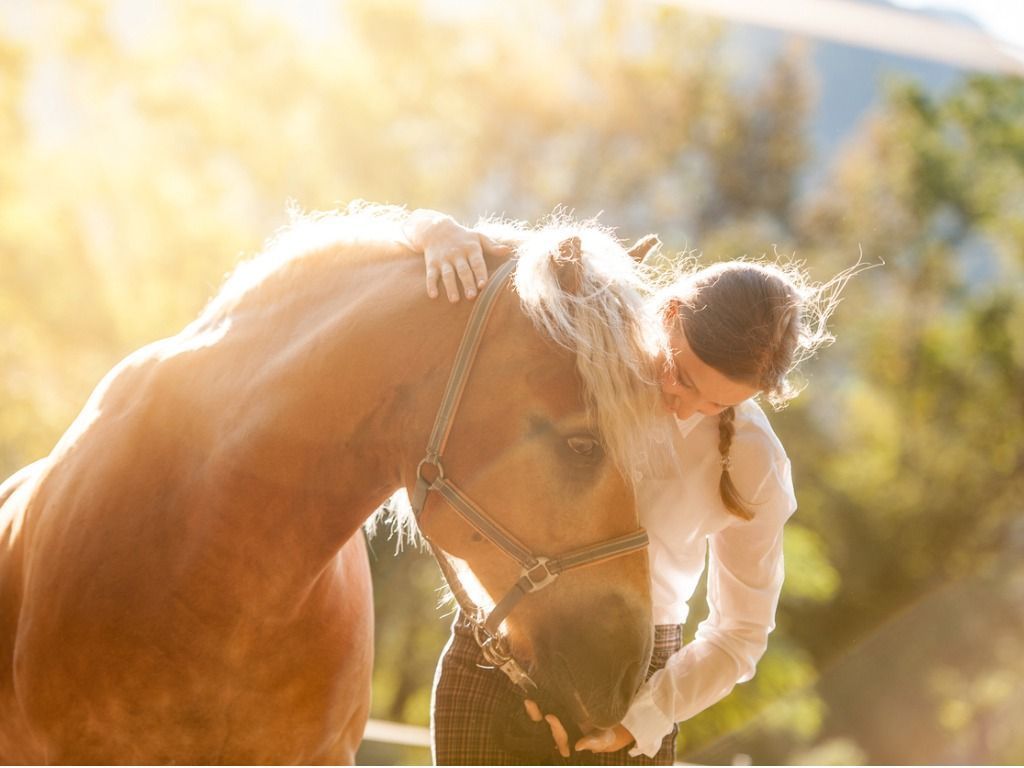 A woman in a white shirt hugging a tan horse, sunlit outdoors.