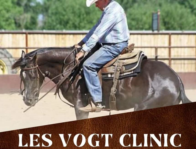 Les Vogt Clinic