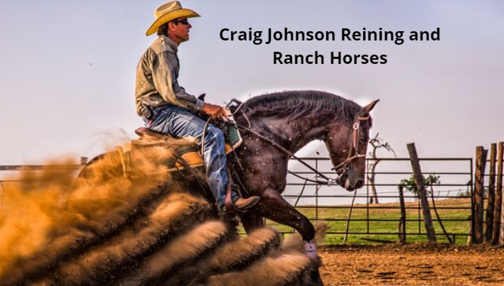 Craig Johnson Reining and Ranch Horses