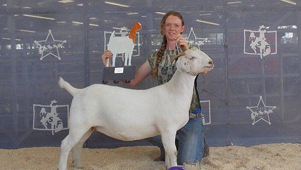 Multi-species and show formula