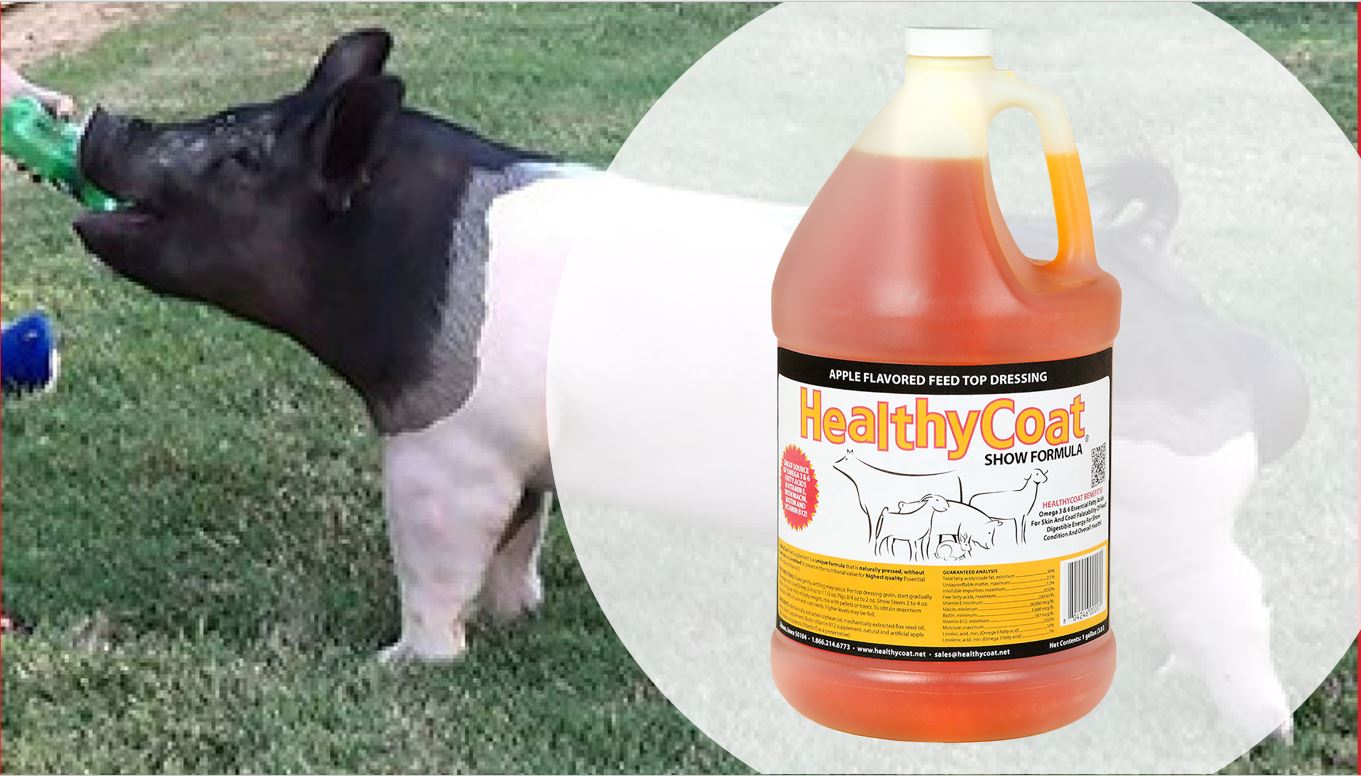HealthyCoat product
