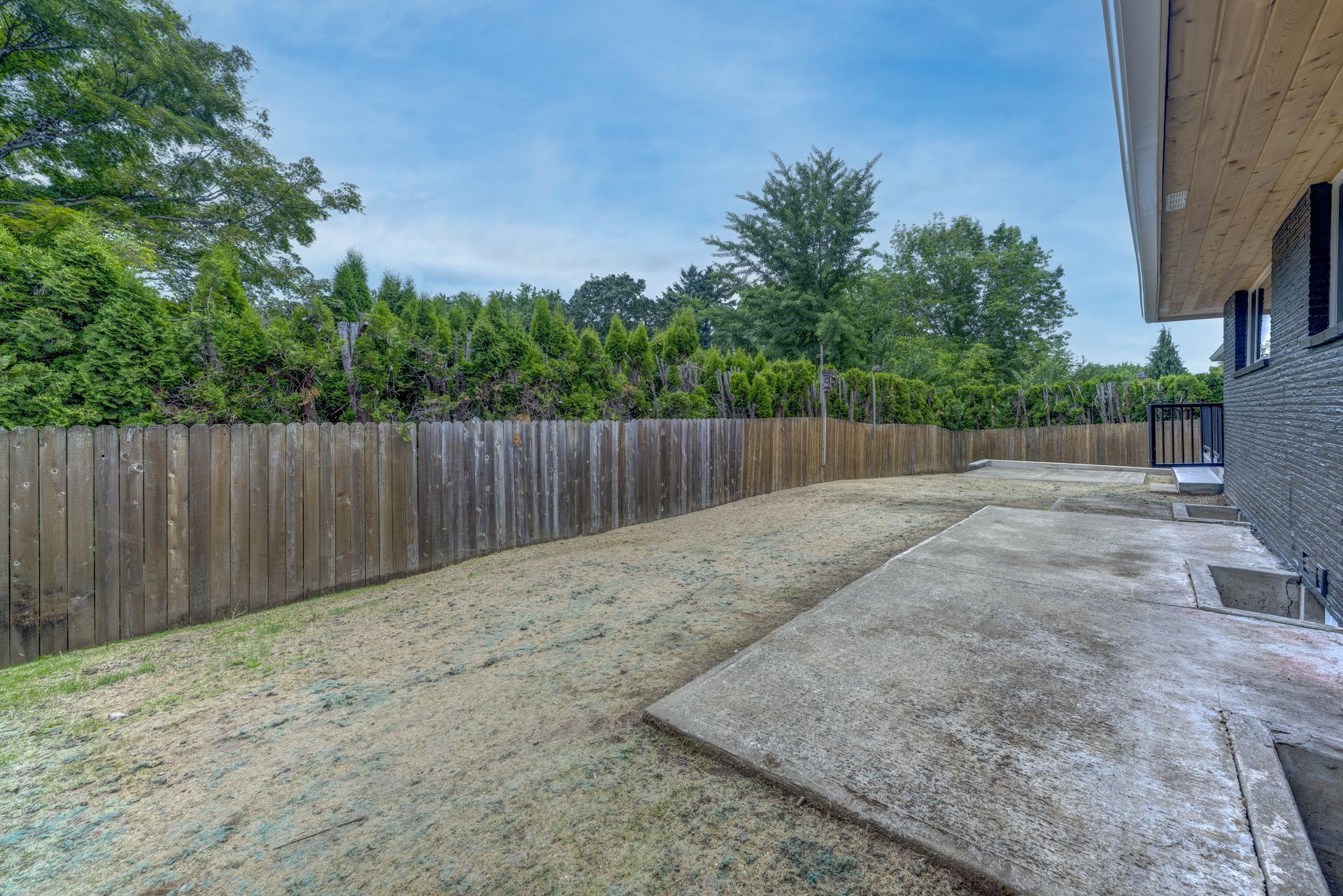 Backyard with a wooden fence, evergreen trees, and concrete patio. Overcast sky.