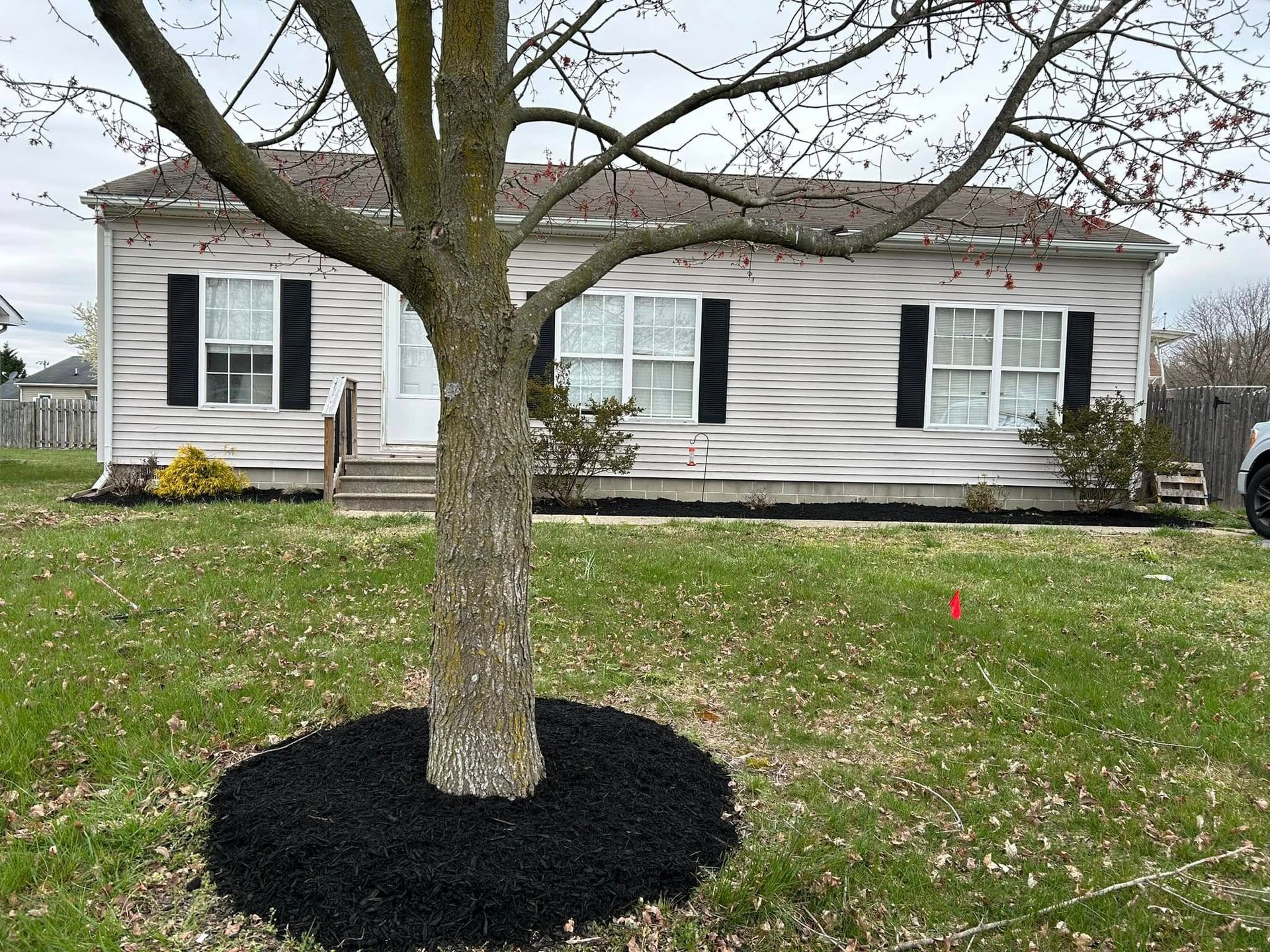 A white house with black shutters and a tree in front of it.