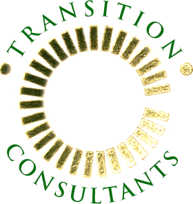 Transition Consultants - Logo