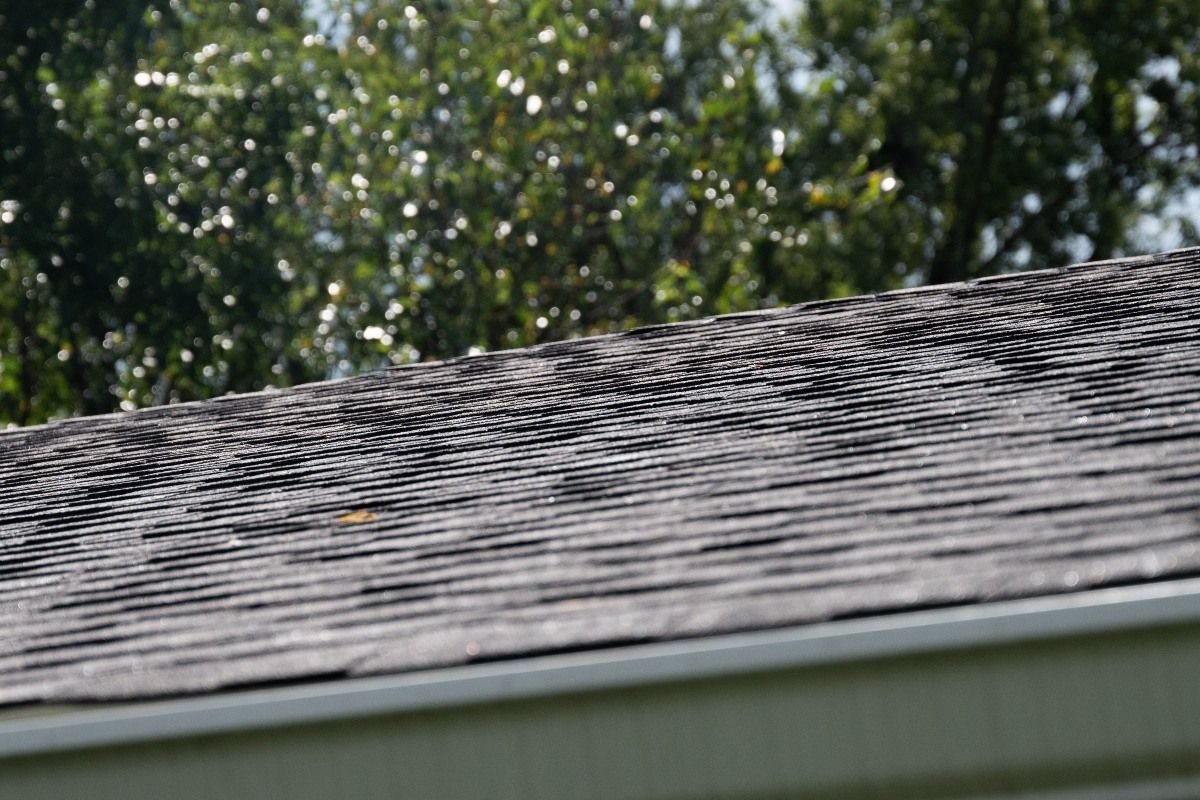 Close-up of a weathered asphalt shingle roof, with a white gutter and blurred trees in the background.
