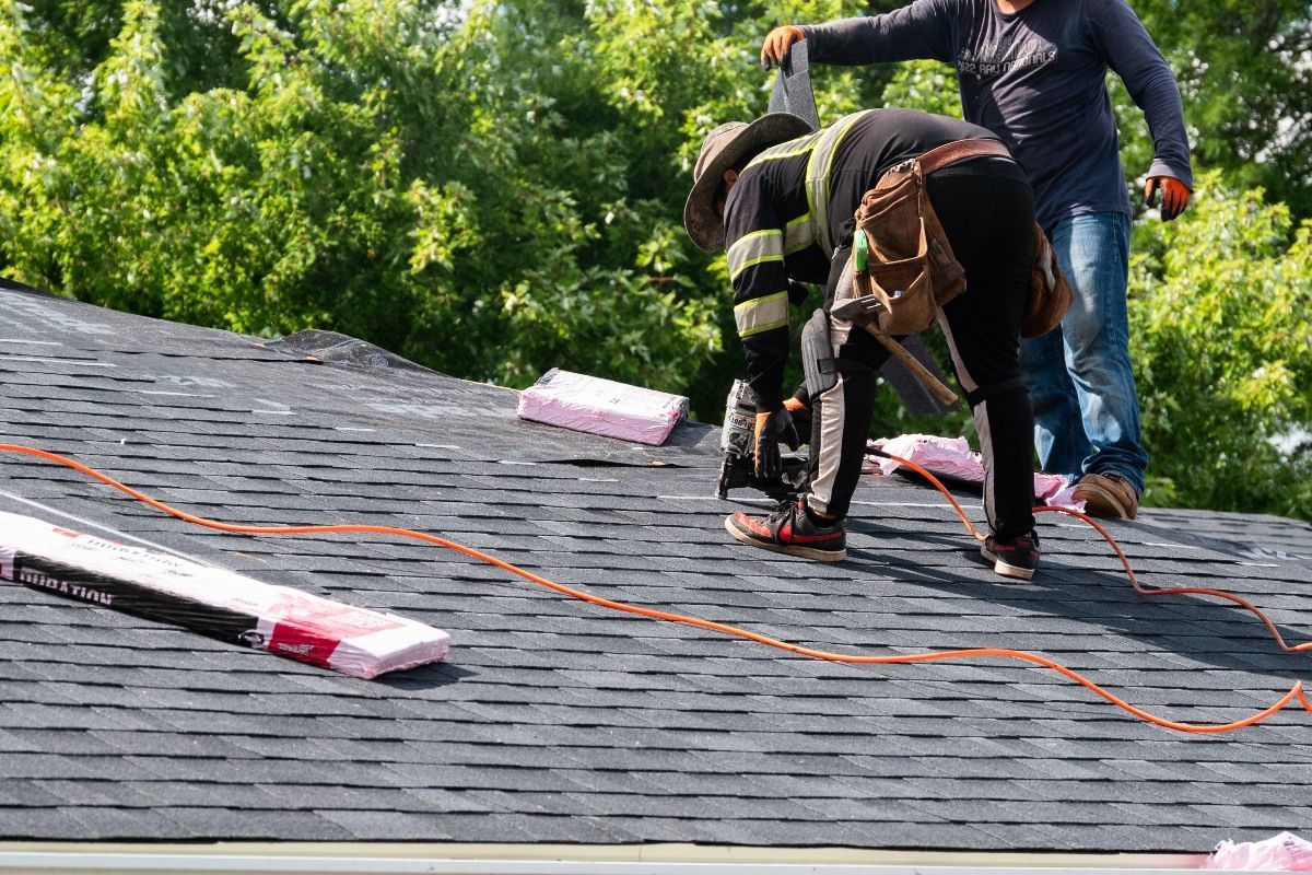 Roofers installing shingles on a roof, using nail gun. One worker helps another. Sunny day.