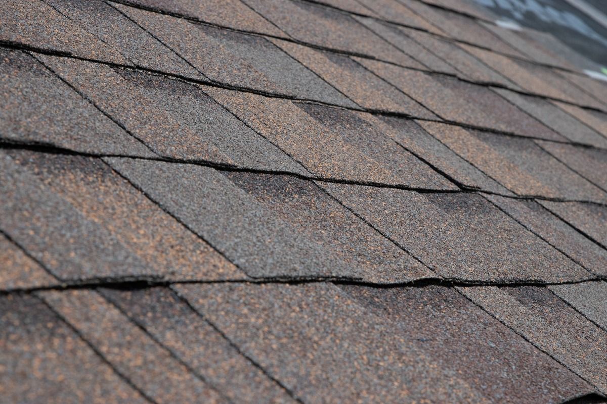 Close-up view of a brown asphalt shingle roof.