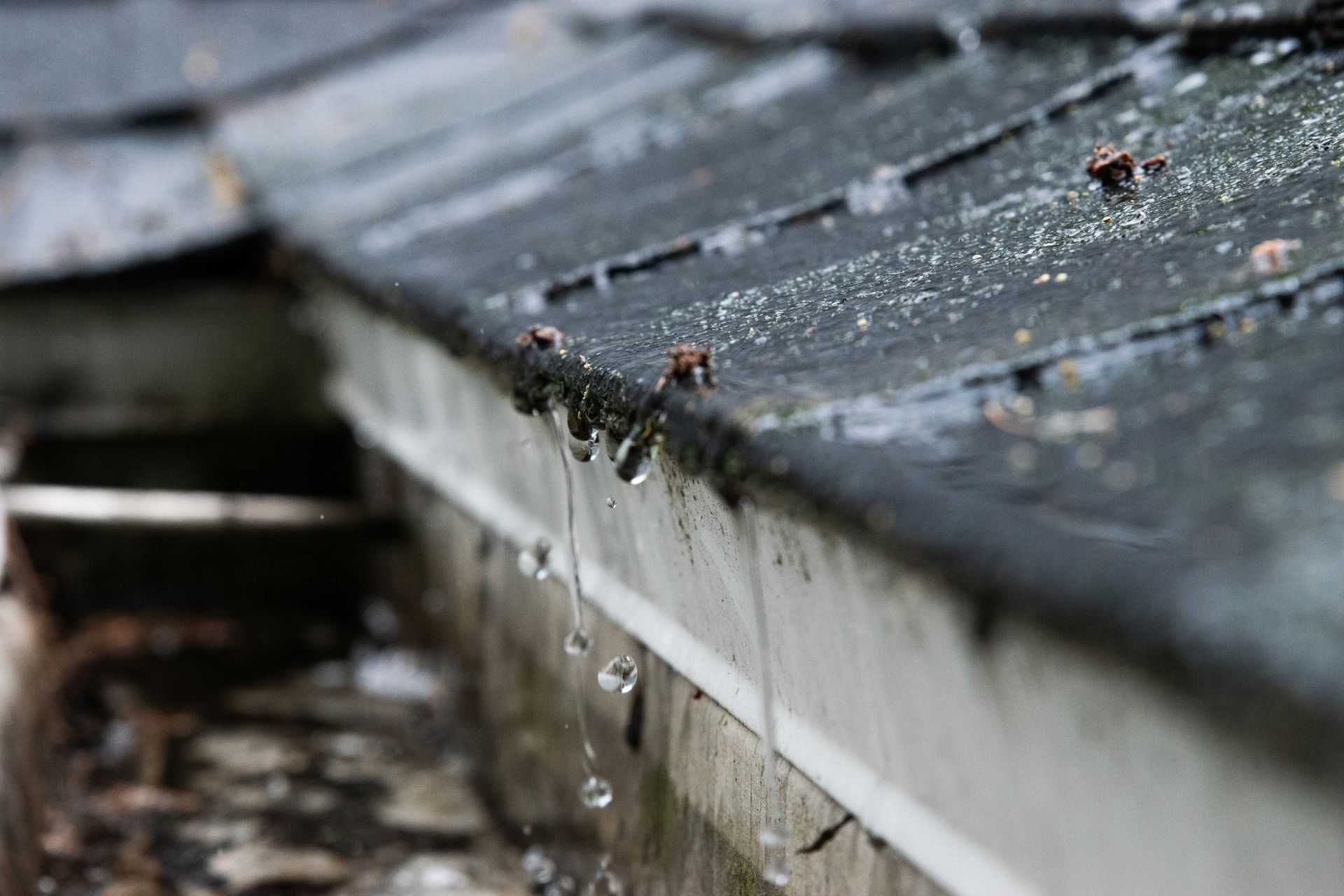 Rain dripping from a dark roof into a white gutter.