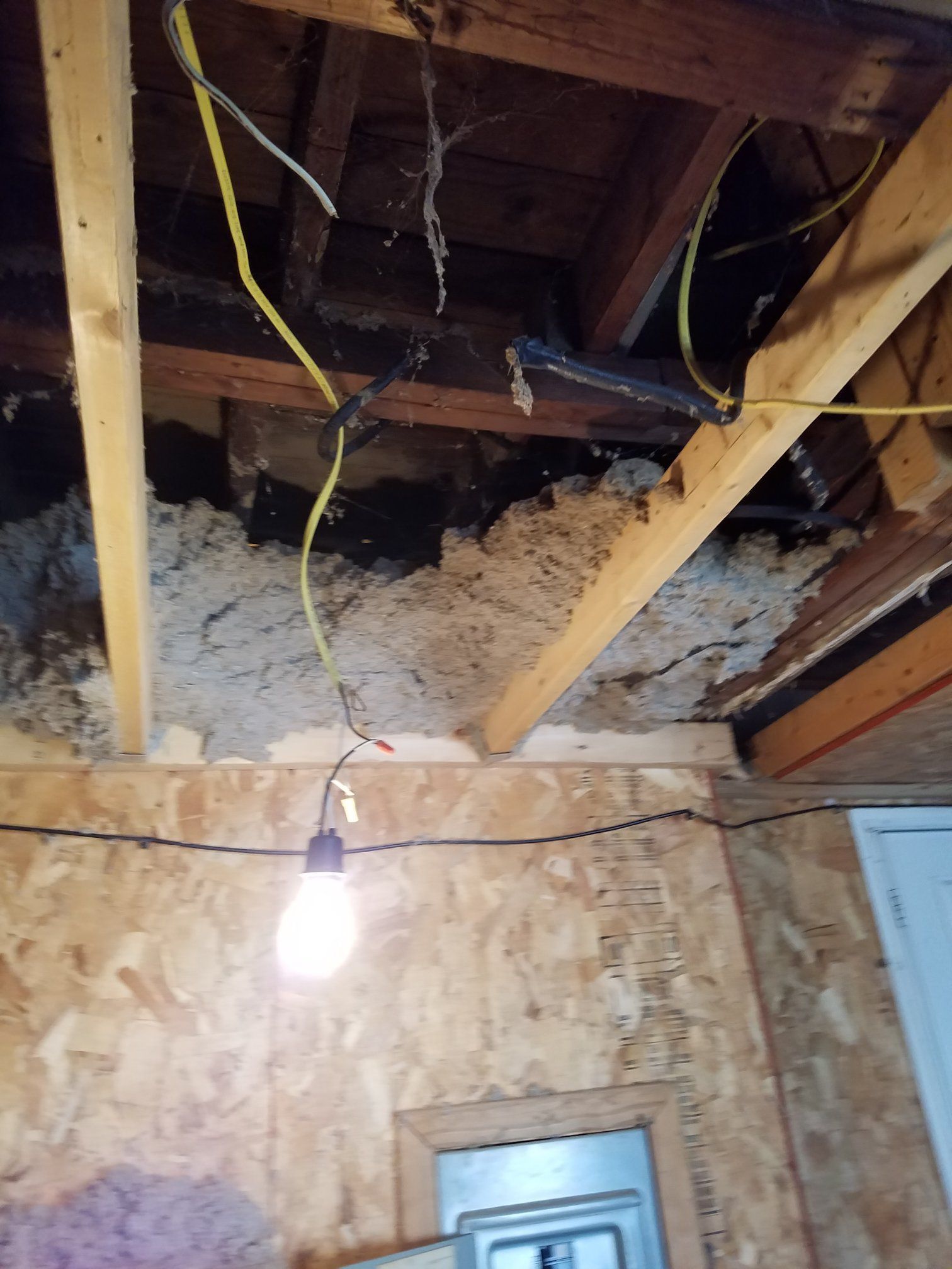 View of an unfinished ceiling with insulation, exposed wood beams, and electrical wiring. A lightbulb hangs.