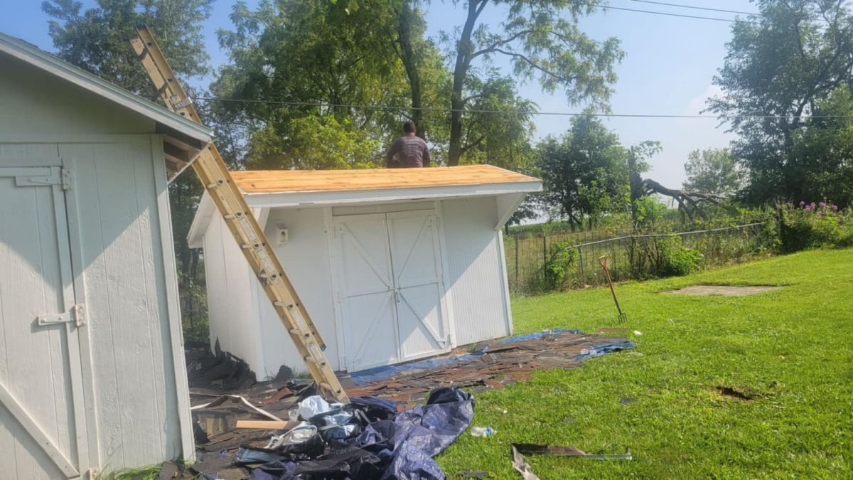 Person on shed roof repairing it, ladder alongside. Green grass and trees in background.