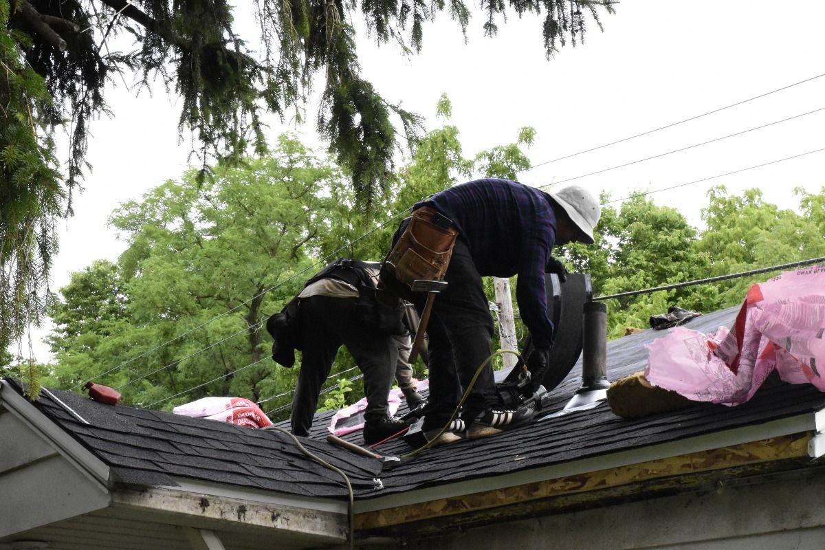 Two roofers working on a black shingle roof, surrounded by pink insulation, and green trees in the background.