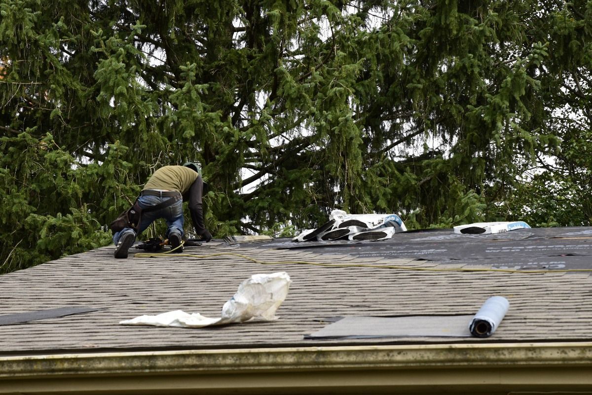 Person on a roof repairs shingles. The roof is weathered and shingles are missing. Green trees are in the background.