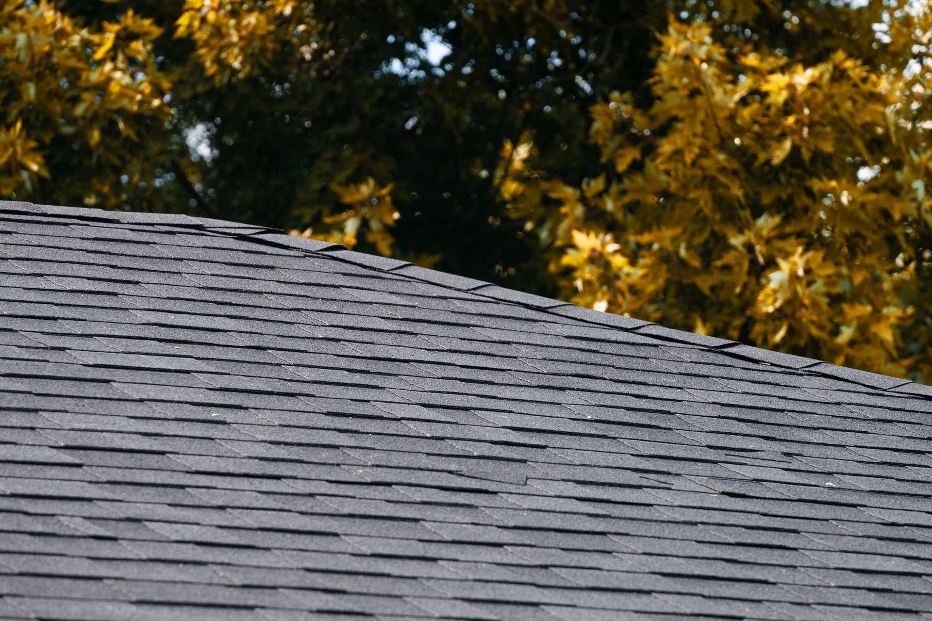 Dark shingled roof with a background of golden autumn leaves.