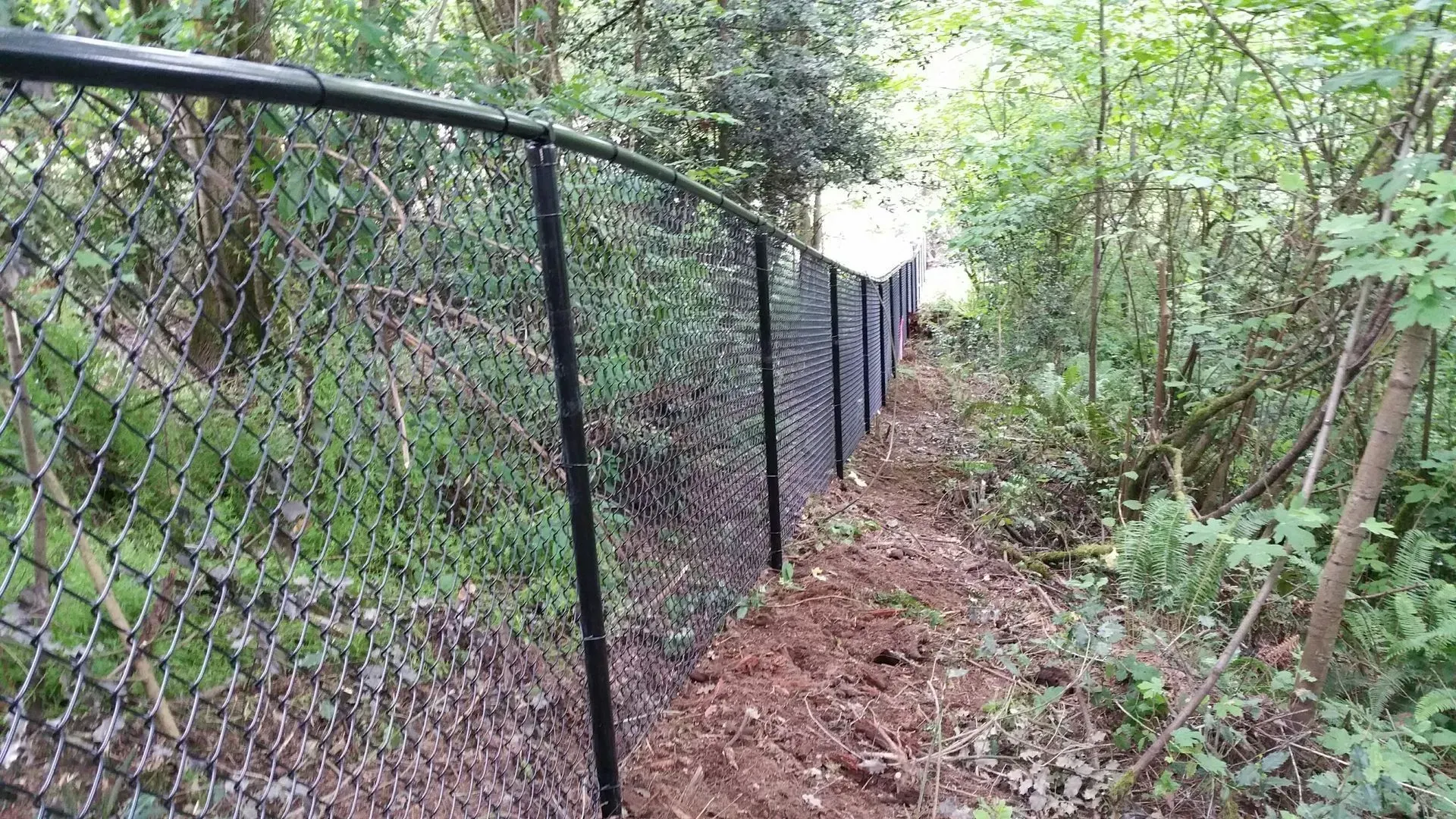 Black chain-link fence lining a narrow leafy trail through dense green woods