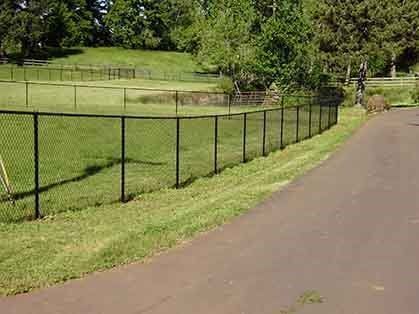 Black chain-link fence along a grassy field beside a paved path under trees.