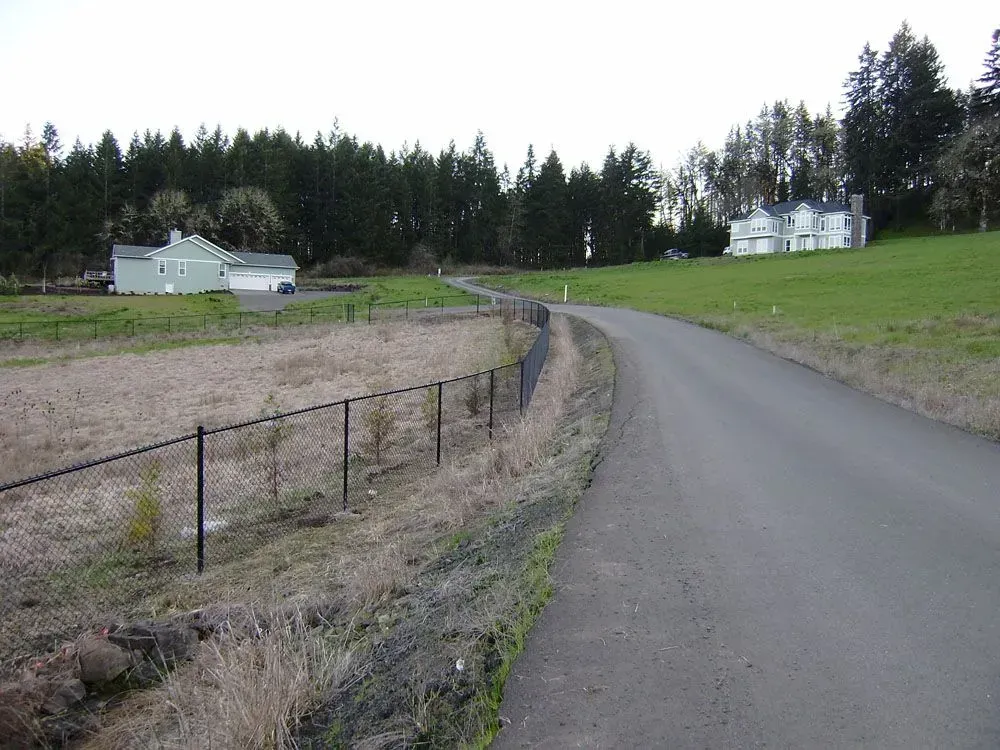 Rural road curving past a fenced field, white houses, and a dark evergreen forest under an overcast sky