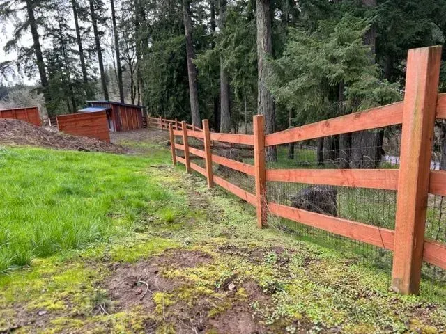 Orange wooden fence along a grassy forest path with a small shed in the background