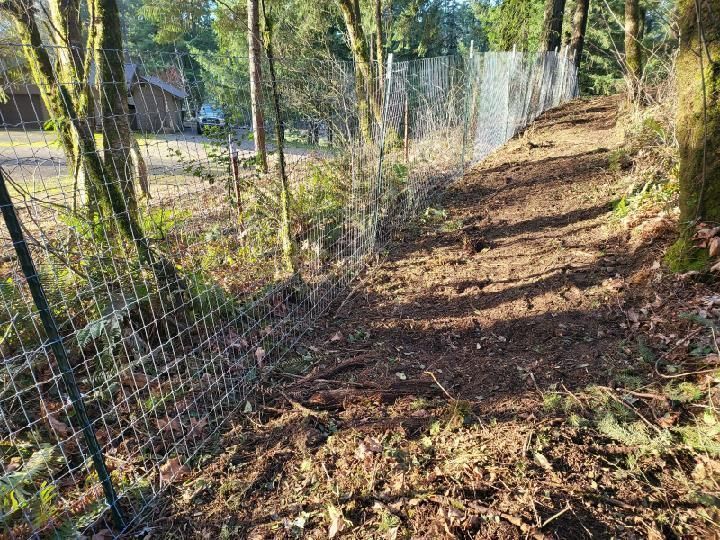 Wooded hillside path beside a wire fence, with trees and sunlight in autumn colors.