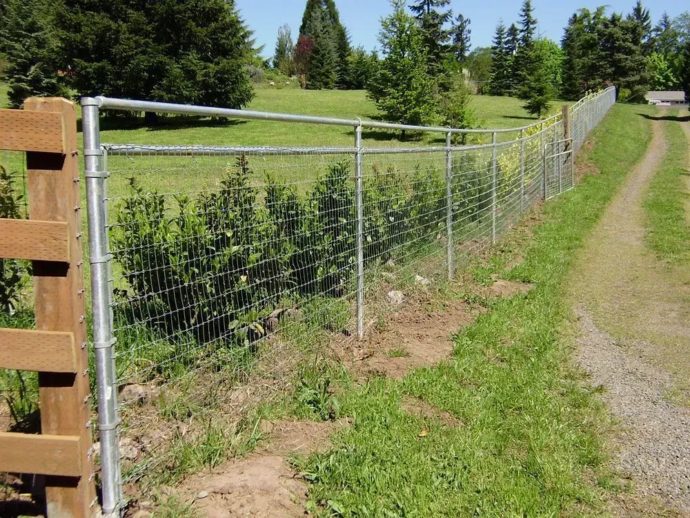 Chain-link fence along a grassy hillside beside a dirt path in a rural field.