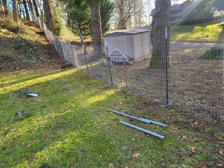 Backyard with grass, trees, wire fence, small shed, and metal pipes on the ground
