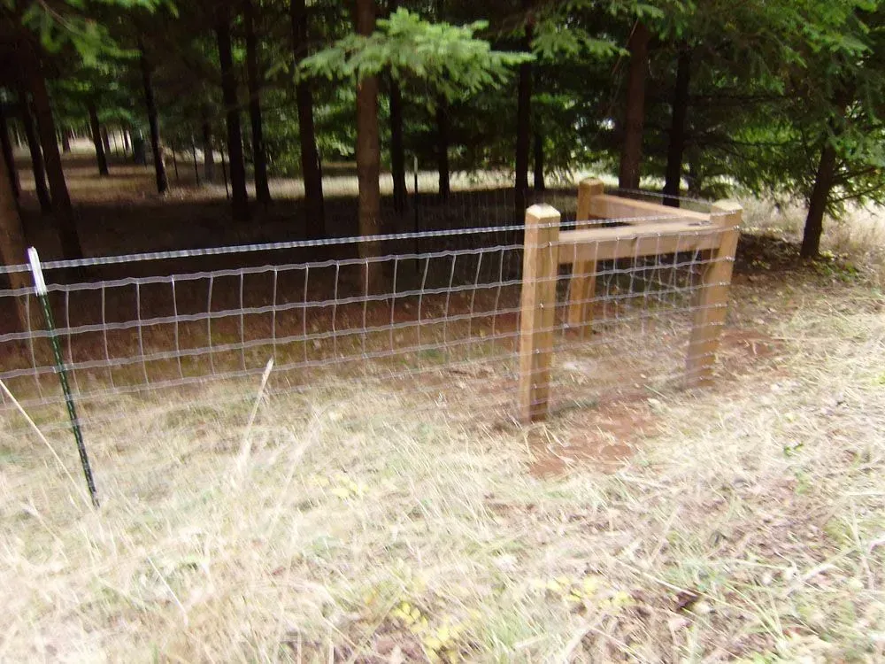 Wire fence with wooden gate in a wooded area beside dry grass