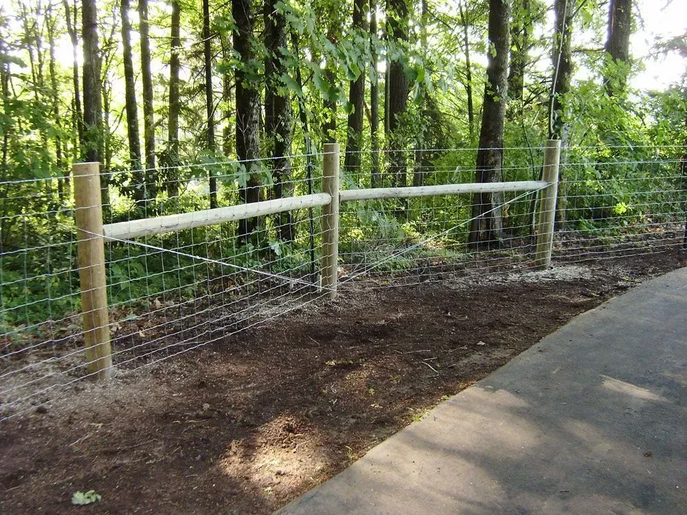 Wooden-and-wire fence along a wooded path beside a paved road