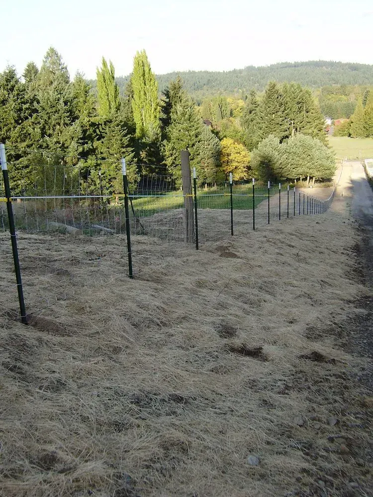 Dry grassy hillside with a wire fence, tall trees, and hills in the distance