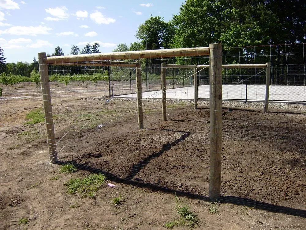 Wooden horse jump in a dirt outdoor arena under a bright sky