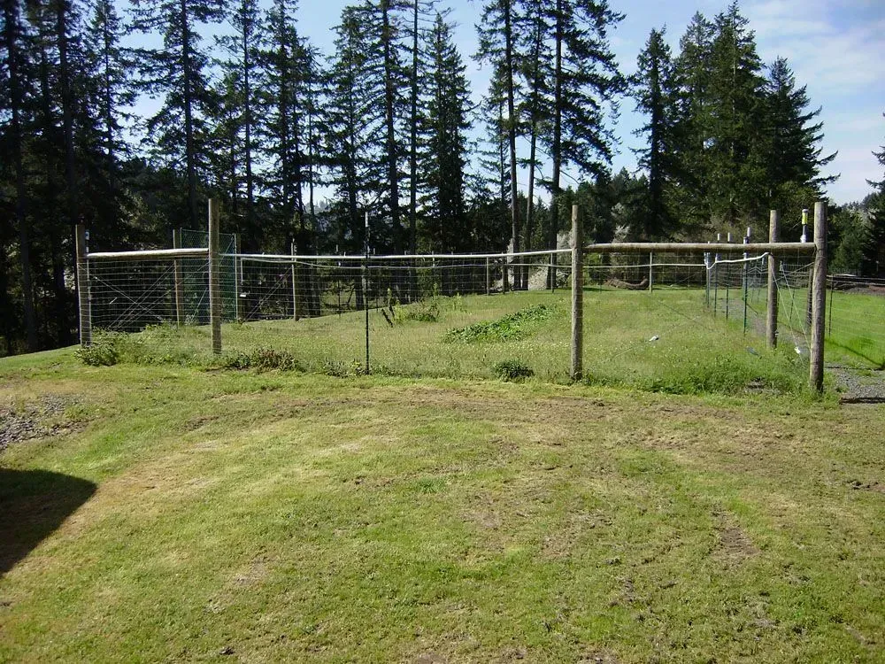 Fenced grassy enclosure with metal gates in a wooded area