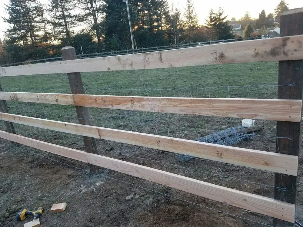 Wooden fence beside a grassy yard at sunset, with trees and a dirt foreground.