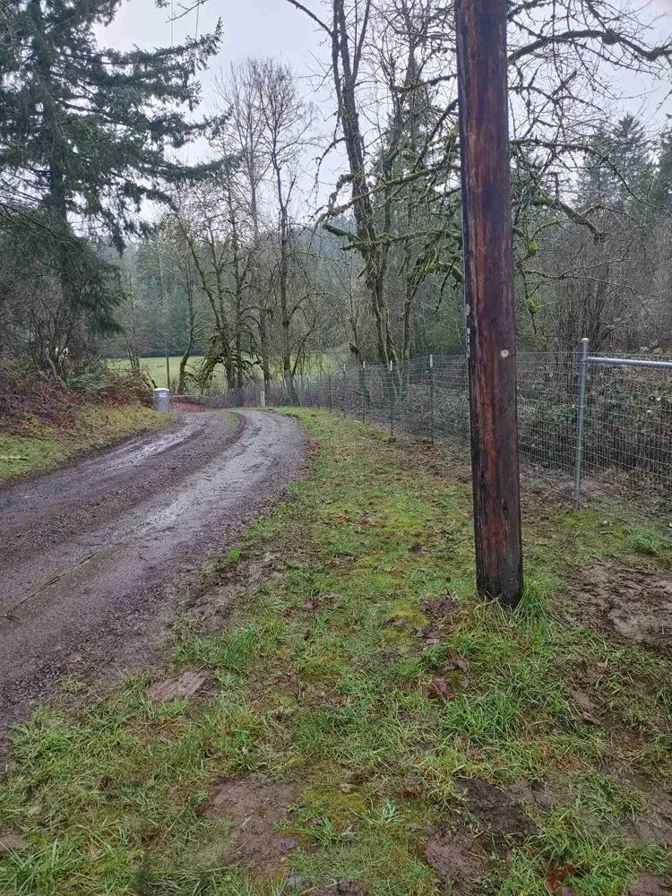 Curving muddy road through a wooded area beside a chain-link fence and utility pole
