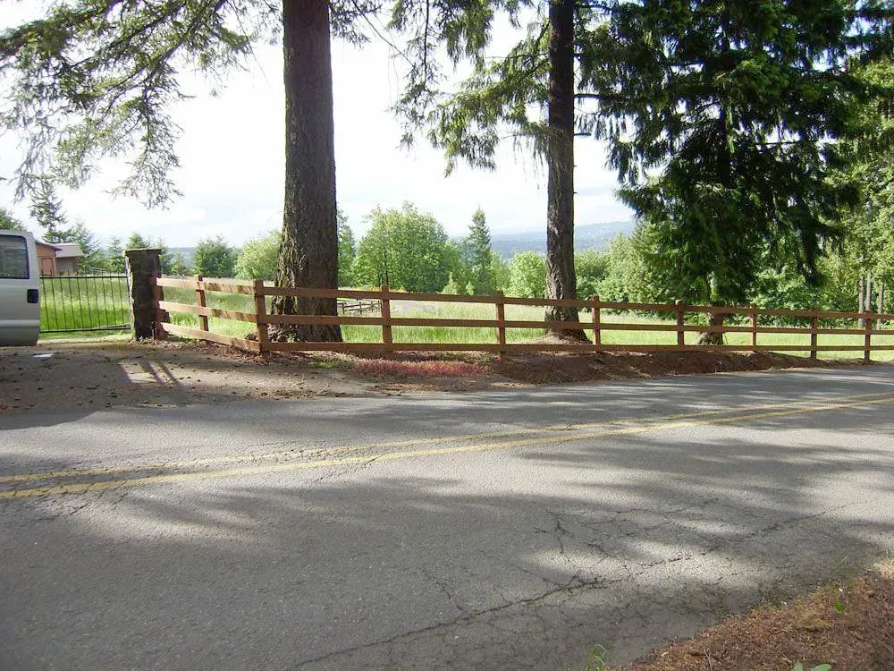 Tree-lined roadside with a wooden fence and open field beyond under a bright sky