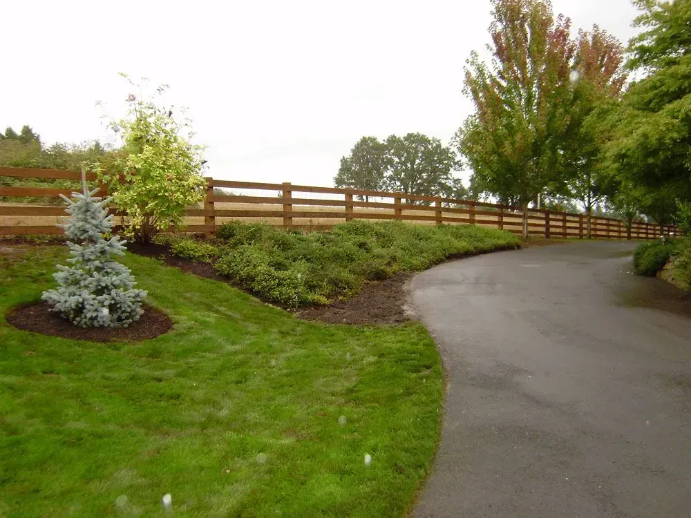 Landscaped yard with curved driveway, green lawn, shrubs, and a wooden fence under overcast sky