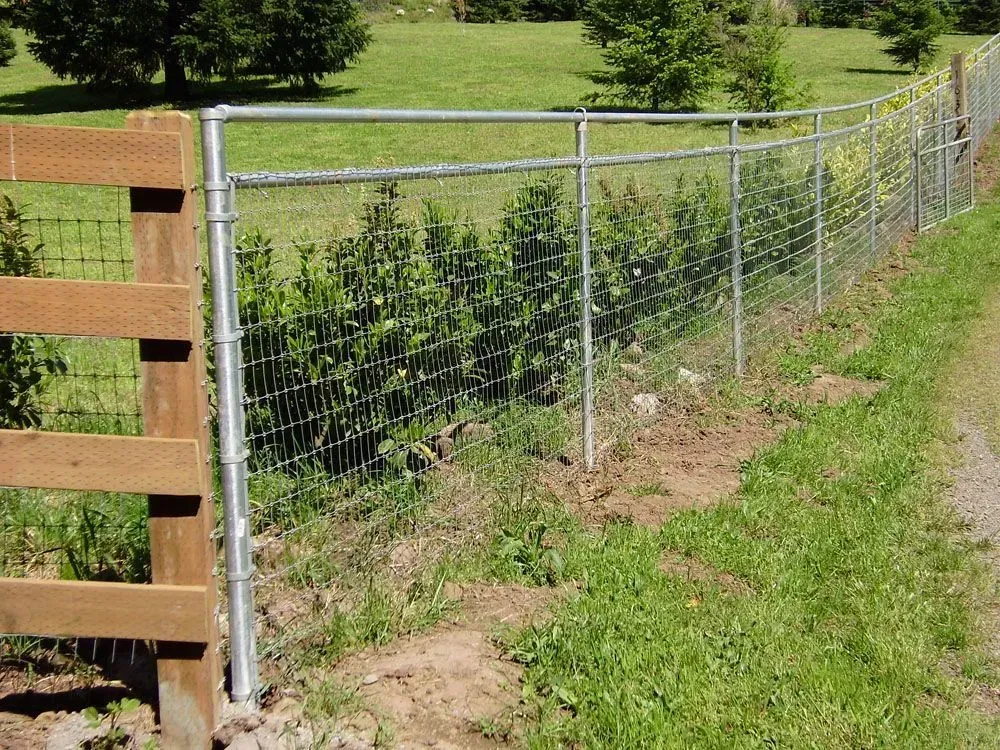 Wire mesh fence along a grassy hillside with wooden post section at left and trees in the background