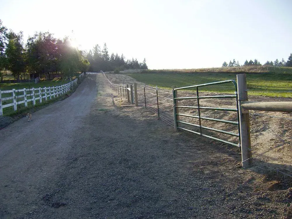 Gravel country road beside white fence and metal gate at sunset, lined with trees and open field