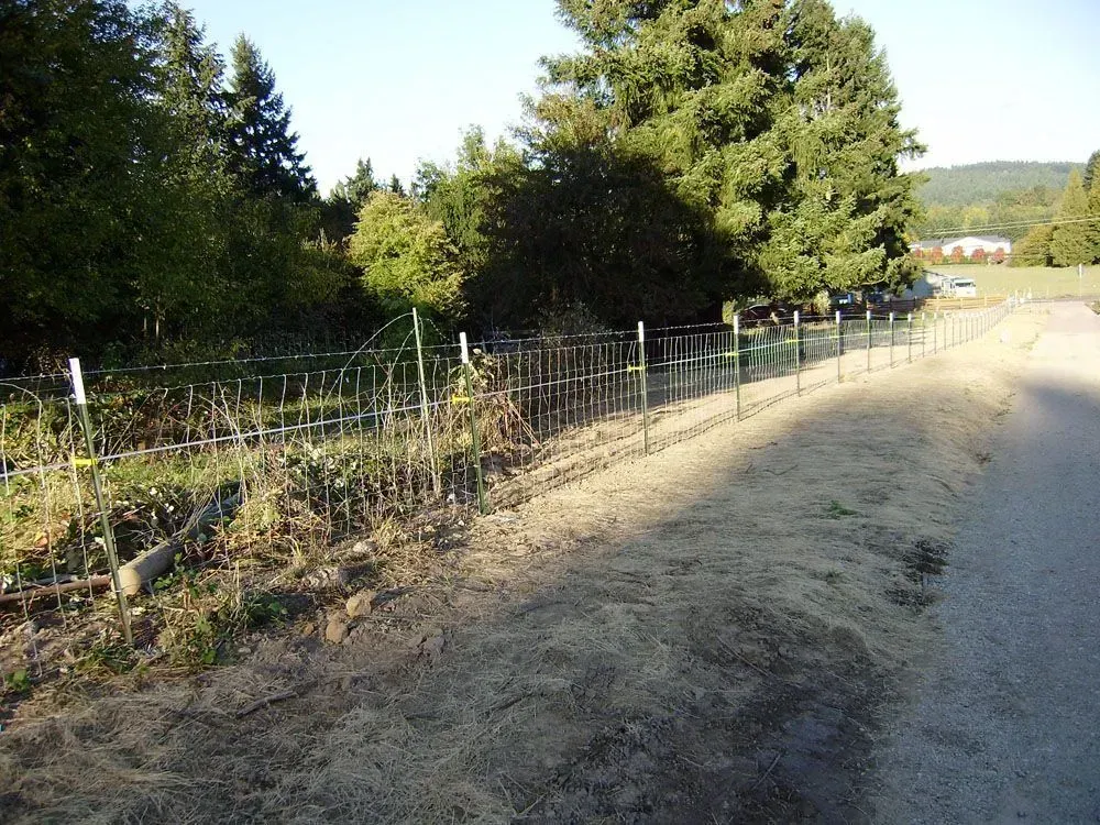 Dirt road beside a wire fence and trees, with a sunlit rural hillside in the background.