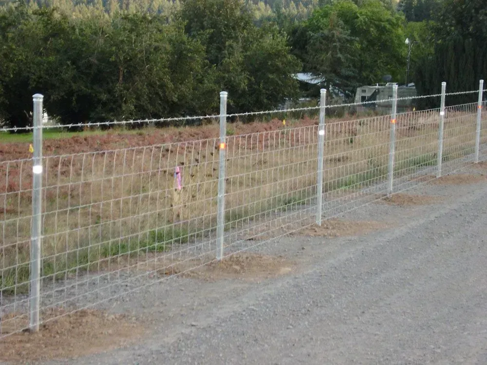 White wire fence beside a gravel road, with a grassy field and trees in the background.