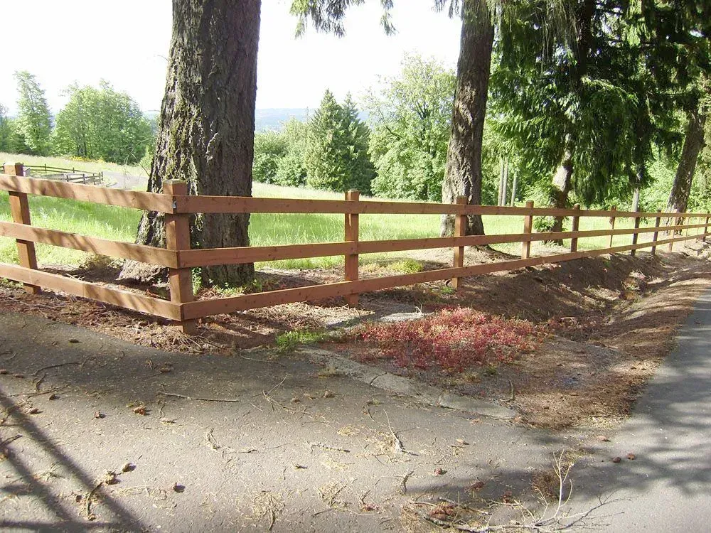 Wooden fence beside a tree-lined path in a sunny rural area