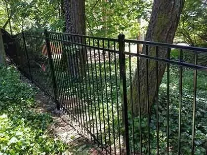 Black metal fence along a wooded path beside trees and greenery