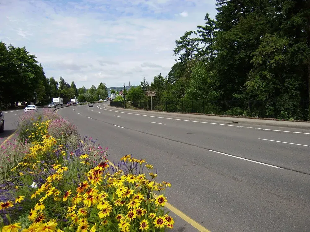 Roadside view with yellow flowers in the foreground and a wide empty road lined by trees under a cloudy sky